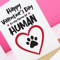 Cute Pet Valentine Card, dog valentines card, cat valentines card, card from the dog, dog lover gift, cat lover gift, dog owner gift